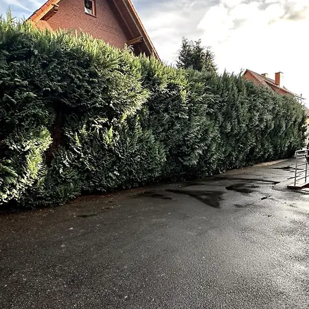 Kassel - Modernes In Mit Parkplatz & Wlan - Onen8 Lejlighed Fuldatal